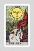 English Rider Waite Tarot Kit Tarot Kartı