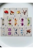 Pokemon İskambil Kartı Oyun Kartı Poker Kartı
